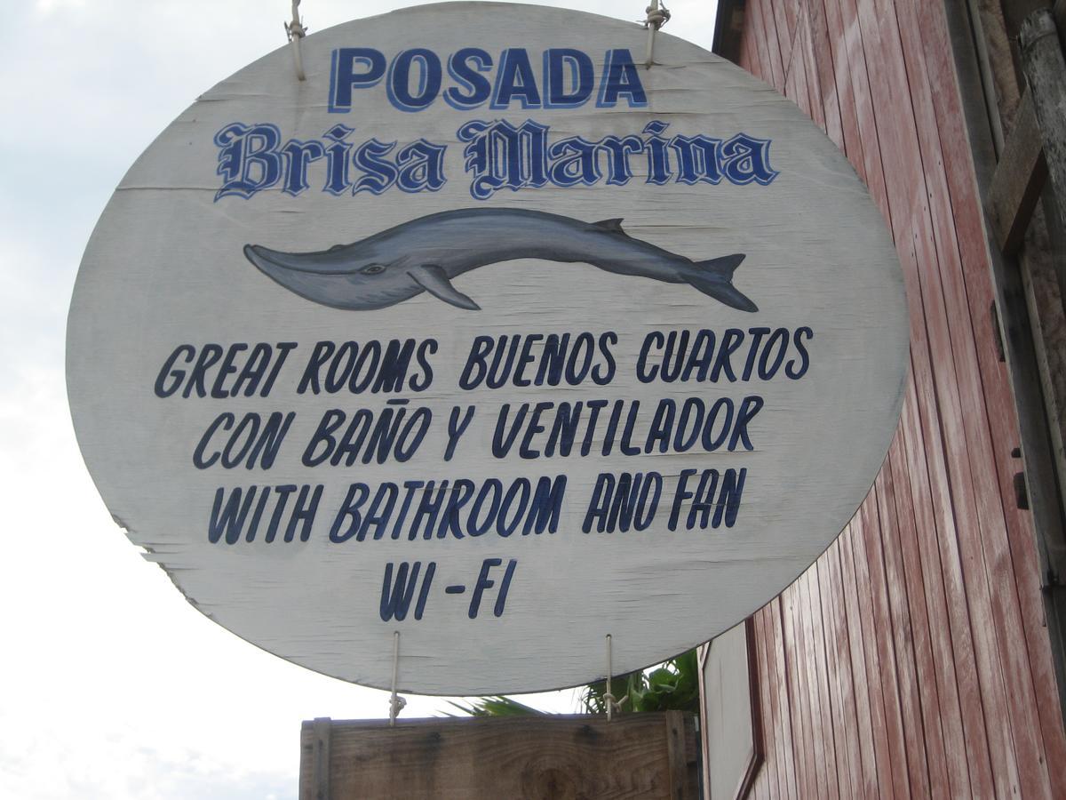 Posada Brisa Marina Vandrarhem Zipolite Exteriör bild